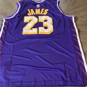 Purple Swingman Jersey James